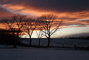 初冬の朝焼け 自然が織りなすコントラストはとても幻想的で絵になる風景が広がります。