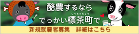 酪農するならでっかい標茶町で 新規就農者募集の詳細はこちら